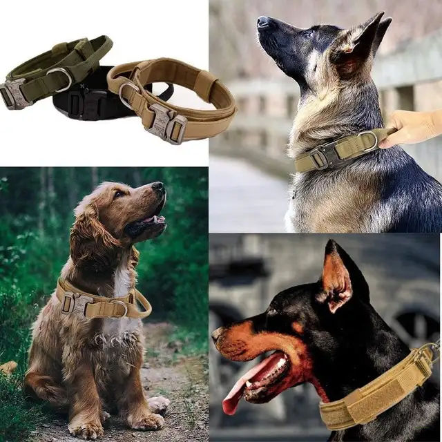 WIDE DOG COLLAR